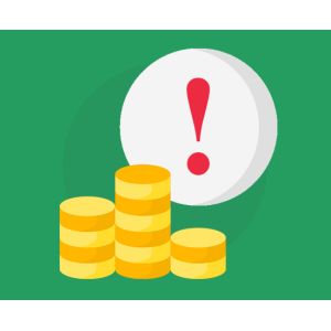 F&oslash;lge budgettet