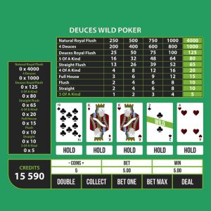 Hovedfunktionerne i video-poker