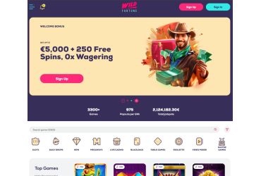 Wild Fortune Casino Forside