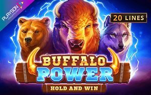 Buffalo Power