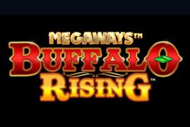 buffalo rising megaways preview