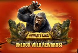 Primate King review