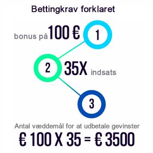 Hvad Er Oms&aelig;tningskrav?